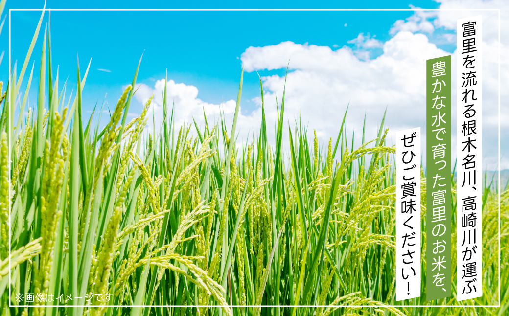 【令和6年産新米】富里市産コシヒカリ ５kg TMF004 / こしひかり コシヒカリ 米 こめ コメ 白米 単一米 精米 うるち精米 5kg もっちり 柔らか うまみ 旨味 うま味 日本食 鮮度自慢 産直 産地直送 J A富里 農協 千葉県 富里市 千葉産 千葉県産 ちば とみさと トミサト 富里 