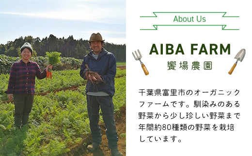 【3ヶ月 定期便】農家直送！【栽培期間中農薬不使用】季節の新鮮野菜「９品」詰め合わせセット オーガニックファーム AIBA FARM TML002 / 野菜セット 無農薬 野菜 千葉県 富里市 直送野菜 お野菜セット 旬野菜 季節野菜 農家直送 採れたて とれたて やさい 詰め合わせ セット ヤサイ  旬の野菜 季節の野菜 産地直送 詰め合わせ おまかせ 新鮮 オーガニック 農薬不使用