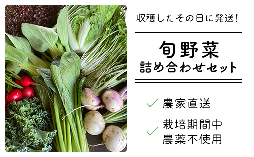 農家直送！【栽培期間中農薬不使用】季節の新鮮野菜「９品」詰め合わせセット オーガニックファーム AIBA FARM TML001 / 野菜セット 無農薬 野菜 千葉県 富里市 直送野菜 お野菜セット 旬野菜 季節野菜 農家直送 採れたて とれたて やさい 詰め合わせ セット ヤサイ  旬の野菜 季節の野菜 産地直送 詰め合わせ おまかせ 新鮮 オーガニック 農薬不使用