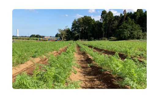 【10ヶ月 定期便】農家直送！【栽培期間中農薬不使用】季節の新鮮野菜「９品」詰め合わせセット オーガニックファーム AIBA FARM TML004 / 野菜セット 無農薬 野菜 千葉県 富里市 直送野菜 お野菜セット 旬野菜 季節野菜 農家直送 採れたて とれたて やさい 詰め合わせ セット ヤサイ  旬の野菜 季節の野菜 産地直送 詰め合わせ おまかせ 新鮮 オーガニック 農薬不使用