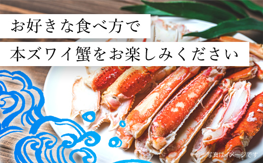 【訳あり】 冷凍ボイル本ズワイ蟹　4肩（1kg） TMN004 / ずわいがに ずわいガニ ズワイガニ ズワイ蟹 本ズワイ蟹 本ずわいがに 本ズワイガニ 本ズワイ蟹 蟹 かに カニ 冷凍ボイル本ズワイ蟹  冷凍ボイル  冷凍ずわいがに 冷凍ズワイガニ 冷凍ズワイ蟹 冷凍本ズワイ蟹 冷凍本ずわいがに 冷凍本ズワイガニ 冷凍本ズワイ蟹 冷凍蟹 冷凍かに 冷凍カニ 肩 ずわい ズワイ スクーナー 