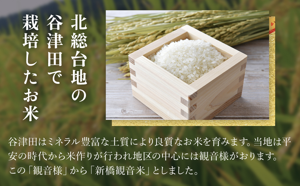 【令和6年産新米】 新橋観音米 コシヒカリ 精米10kg TMY001 / お米 米 こめ こしひかり コシヒカリ 新橋観音米 10kg うるち米 送料無料 期間限定 数量限定 ちば 千葉県産とみさと 富里 富里市