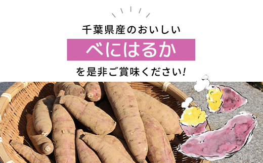 【2024年11月以降発送】千葉県富里市産　べにはるか　5kg　サイズ混載　土付き TMH004 / さつまいも サツマイモ  紅はるか べにはるか おさつ 甘藷 唐いも あまい 甘い スイーツ スイート ポテト おやつ 焼き芋 千葉県 富里市 