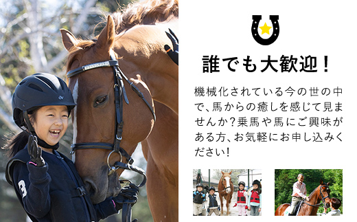 乗馬体験ご招待チケット TMD001 / ふるさと納税 乗馬 騎乗 馬 乗馬クラブクレイン千葉富里 乗馬クラブクレイン クレイン くれいん 体験 チケット じょうば たいけん ちけっと 招待 初心者 おすすめ オススメ 人気 送料無料  千葉県 富里市