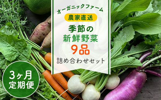 【3ヶ月 定期便】農家直送！【栽培期間中農薬不使用】季節の新鮮野菜「９品」詰め合わせセット オーガニックファーム AIBA FARM TML002 / 野菜セット 無農薬 野菜 千葉県 富里市 直送野菜 お野菜セット 旬野菜 季節野菜 農家直送 採れたて とれたて やさい 詰め合わせ セット ヤサイ  旬の野菜 季節の野菜 産地直送 詰め合わせ おまかせ 新鮮 オーガニック 農薬不使用