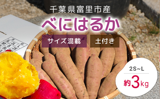 【2024年11月以降発送】千葉県富里市産　べにはるか　3kg　サイズ混載　土付き TMH003 / さつまいも サツマイモ  紅はるか べにはるか おさつ 甘藷 唐いも あまい 甘い スイーツ スイート ポテト おやつ 焼き芋 千葉県 富里市 