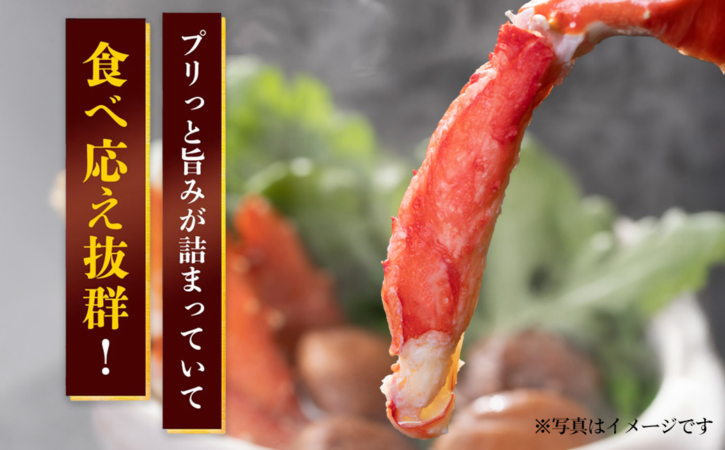 å·åãã€ã«ã¿ã©ãè¹ã5L TMN012 / ãµãããšçŽçš ããã°ãã« ããã°ã¬ã ã¿ã©ãã¬ã ã¿ã©ãè¹ å·åè¹ å·åãã« å·åã«ã è© ããã° ã¿ã©ã ã¹ã¯ãŒã㌠åèç å¯éåž