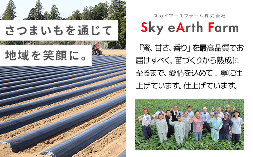 【2024年9月以降発送】千葉県富里市産　シルクスイート　3kg　サイズ混載　土付き TMH001 / さつまいも サツマイモ  シルクスイート  しるくすいーと おさつ 甘藷 唐いも あまい 甘い スイーツ スイート ポテト おやつ 千葉県 富里市 