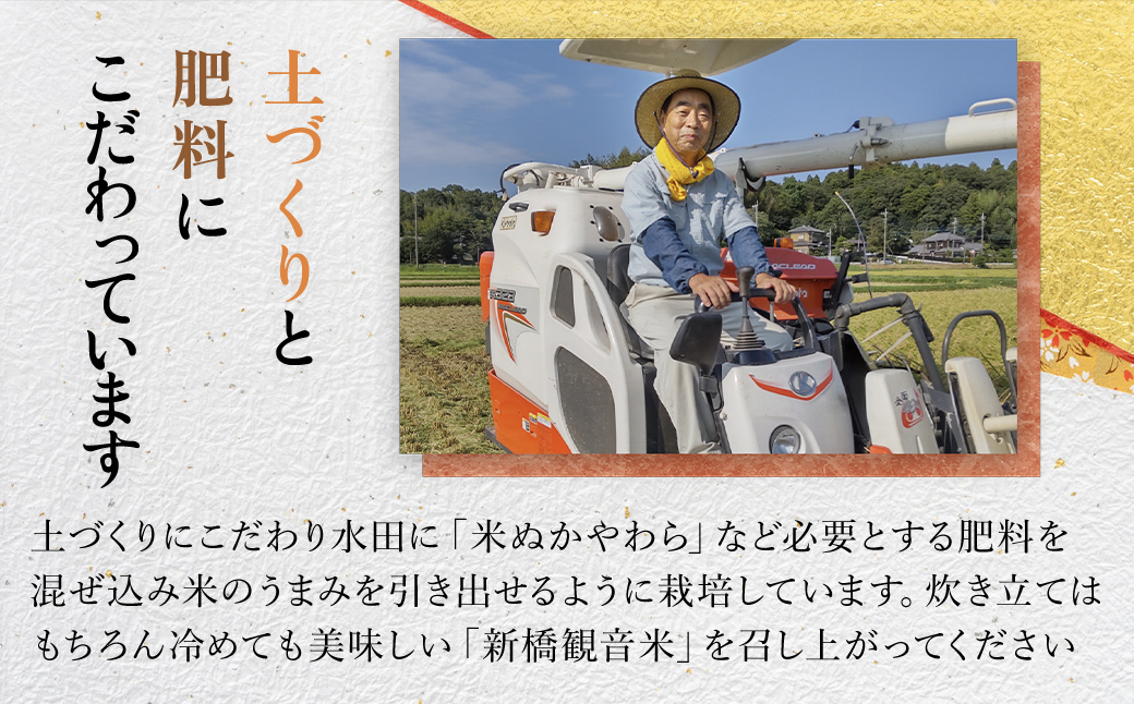 【令和6年産新米】 新橋観音米 コシヒカリ 精米10kg TMY001 / お米 米 こめ こしひかり コシヒカリ 新橋観音米 10kg うるち米 送料無料 期間限定 数量限定 ちば 千葉県産とみさと 富里 富里市