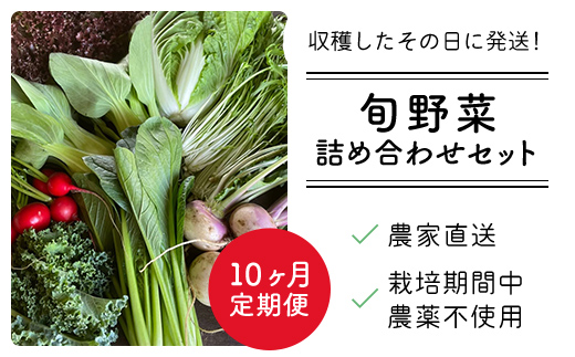 【10ヶ月 定期便】農家直送！【栽培期間中農薬不使用】季節の新鮮野菜「９品」詰め合わせセット オーガニックファーム AIBA FARM TML004 / 野菜セット 無農薬 野菜 千葉県 富里市 直送野菜 お野菜セット 旬野菜 季節野菜 農家直送 採れたて とれたて やさい 詰め合わせ セット ヤサイ  旬の野菜 季節の野菜 産地直送 詰め合わせ おまかせ 新鮮 オーガニック 農薬不使用