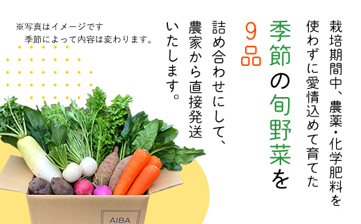 農家直送！【栽培期間中農薬不使用】季節の新鮮野菜「９品」詰め合わせセット オーガニックファーム AIBA FARM TML001 / 野菜セット 無農薬 野菜 千葉県 富里市 直送野菜 お野菜セット 旬野菜 季節野菜 農家直送 採れたて とれたて やさい 詰め合わせ セット ヤサイ  旬の野菜 季節の野菜 産地直送 詰め合わせ おまかせ 新鮮 オーガニック 農薬不使用