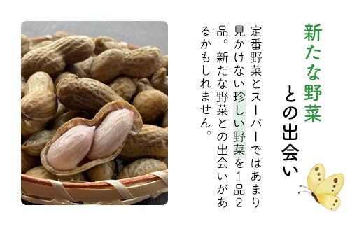 【6ヶ月 定期便】農家直送！【栽培期間中農薬不使用】季節の新鮮野菜「９品」詰め合わせセット オーガニックファーム AIBA FARM TML003 / 野菜セット 無農薬 野菜 千葉県 富里市 直送野菜 お野菜セット 旬野菜 季節野菜 農家直送 採れたて とれたて やさい 詰め合わせ セット ヤサイ  旬の野菜 季節の野菜 産地直送 詰め合わせ おまかせ 新鮮 オーガニック 農薬不使用