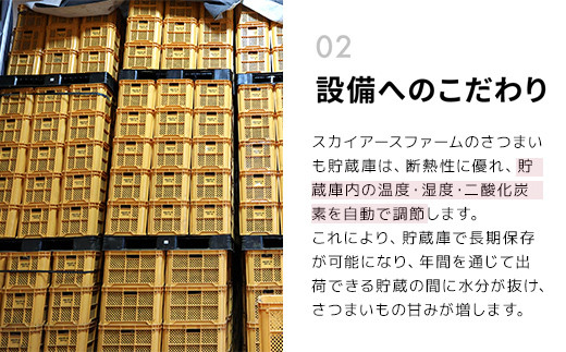 【2024年11月以降発送】千葉県富里市産　シルクスイート＆べにはるか食べ比べセット　3kg　サイズ混載　土付き TMH005 / さつまいも サツマイモ  紅はるか べにはるか   シルクスイート  しるくすいーと おさつ 甘藷 唐いも あまい 甘い スイーツ スイート ポテト おやつ 焼き芋 定期便 定期 千葉県 富里市 