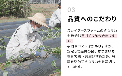 【2024年11月以降発送】千葉県富里市産　シルクスイート＆べにはるか食べ比べセット　5kg　サイズ混載　土付き TMH006 / さつまいも サツマイモ  紅はるか べにはるか   シルクスイート  しるくすいーと おさつ 甘藷 唐いも あまい 甘い スイーツ スイート ポテト おやつ 焼き芋 定期便 定期 千葉県 富里市 