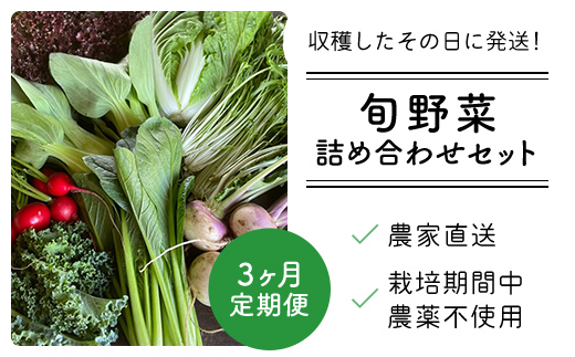 【3ヶ月 定期便】農家直送！【栽培期間中農薬不使用】季節の新鮮野菜「９品」詰め合わせセット オーガニックファーム AIBA FARM TML002 / 野菜セット 無農薬 野菜 千葉県 富里市 直送野菜 お野菜セット 旬野菜 季節野菜 農家直送 採れたて とれたて やさい 詰め合わせ セット ヤサイ  旬の野菜 季節の野菜 産地直送 詰め合わせ おまかせ 新鮮 オーガニック 農薬不使用