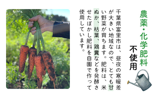 【3ヶ月 定期便】農家直送！【栽培期間中農薬不使用】季節の新鮮野菜「９品」詰め合わせセット オーガニックファーム AIBA FARM TML002 / 野菜セット 無農薬 野菜 千葉県 富里市 直送野菜 お野菜セット 旬野菜 季節野菜 農家直送 採れたて とれたて やさい 詰め合わせ セット ヤサイ  旬の野菜 季節の野菜 産地直送 詰め合わせ おまかせ 新鮮 オーガニック 農薬不使用