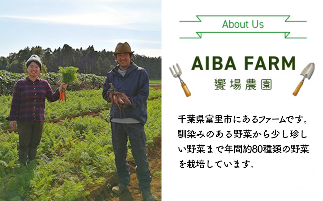 【先行予約・新豆 】【栽培期間中農薬不使用】千葉県産 大粒 農家直送！「生落花生」おおまさり２kg　【 ふるさと納税 人気 おすすめ ランキング 皮付き 殻付き ピーナッツ ピーナツ 落花生 千葉県 富里市 送料無料 】TML009
