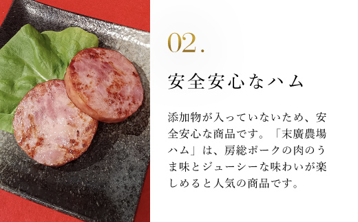 末廣農場ハム2本セット TMB001 / ふるさと納税  ハム はむ 房総ポーク ポークハム ポーク肉 豚ハム ぶたハム セット 特選 贈答用 ギフト お中元 夏ギフト お歳暮 冬ギフト プレゼント ギフト用 ギフトセット 贈答 加工品 加工品ハム ジューシー 末廣農場 末廣 人気 千葉県 富里市