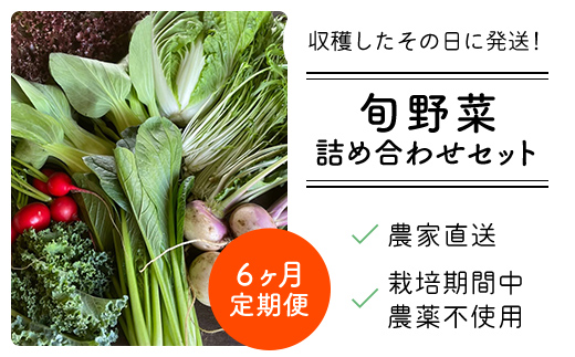 【6ヶ月 定期便】農家直送！【栽培期間中農薬不使用】季節の新鮮野菜「９品」詰め合わせセット オーガニックファーム AIBA FARM TML003 / 野菜セット 無農薬 野菜 千葉県 富里市 直送野菜 お野菜セット 旬野菜 季節野菜 農家直送 採れたて とれたて やさい 詰め合わせ セット ヤサイ  旬の野菜 季節の野菜 産地直送 詰め合わせ おまかせ 新鮮 オーガニック 農薬不使用