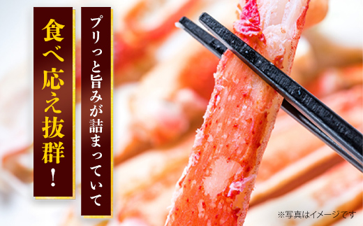 【訳あり】 冷凍ボイル本ズワイ蟹　4肩（1kg） TMN004 / ずわいがに ずわいガニ ズワイガニ ズワイ蟹 本ズワイ蟹 本ずわいがに 本ズワイガニ 本ズワイ蟹 蟹 かに カニ 冷凍ボイル本ズワイ蟹  冷凍ボイル  冷凍ずわいがに 冷凍ズワイガニ 冷凍ズワイ蟹 冷凍本ズワイ蟹 冷凍本ずわいがに 冷凍本ズワイガニ 冷凍本ズワイ蟹 冷凍蟹 冷凍かに 冷凍カニ 肩 ずわい ズワイ スクーナー 