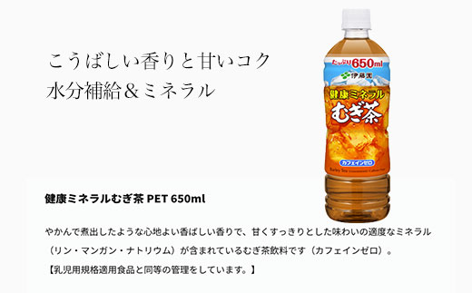 【12か月定期便】伊藤園 健康ミネラルむぎ茶 2ケース（650ml×48本） 定期便 麦茶 伊藤園 ペットボトル お茶 650ml 茶 お茶 おすすめ 常温 常温保存 TMP016