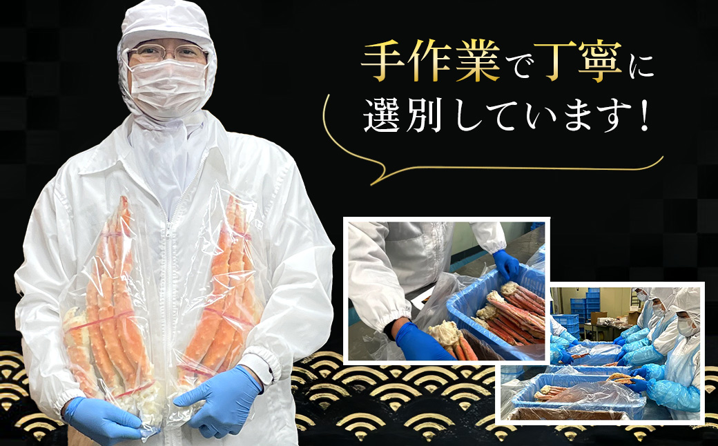 å·åãã€ã«ã¿ã©ãè¹ã5L TMN012 / ãµãããšçŽçš ããã°ãã« ããã°ã¬ã ã¿ã©ãã¬ã ã¿ã©ãè¹ å·åè¹ å·åãã« å·åã«ã è© ããã° ã¿ã©ã ã¹ã¯ãŒã㌠åèç å¯éåž