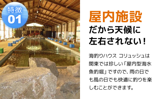 屋内型 海水魚の釣堀4時間コース利用券（昼間通常コース） / ふるさと納税 利用券 チケット 釣り フィッシング 釣り堀 釣堀 海水魚 屋内 4時間 コリュッシュ Ko-Lish ちば 千葉県産とみさと 富里 富里市 TMW001