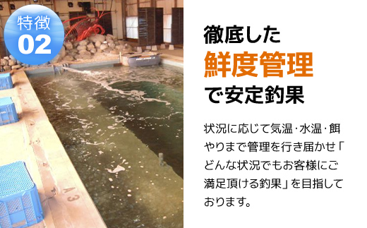 屋内型 海水魚の釣堀4時間コース利用券（昼間通常コース） / ふるさと納税 利用券 チケット 釣り フィッシング 釣り堀 釣堀 海水魚 屋内 4時間 コリュッシュ Ko-Lish ちば 千葉県産とみさと 富里 富里市 TMW001