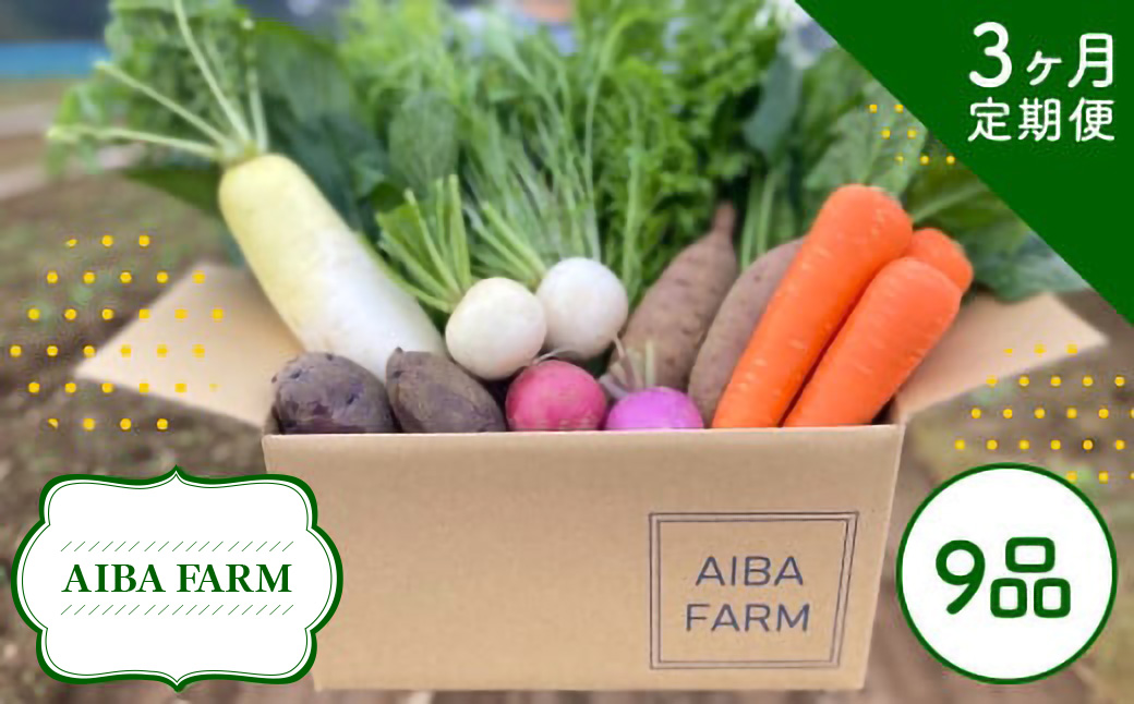 【3ヶ月 定期便】【栽培期間中農薬不使用】農家直送！季節の新鮮野菜「９品」詰め合わせセット AIBA FARM TML002 / 野菜セット 無農薬 野菜 千葉県 富里市 直送野菜 お野菜セット 旬野菜 季節野菜 農家直送 採れたて とれたて やさい 詰め合わせ セット ヤサイ 旬の野菜 季節の野菜 産地直送 詰め合わせ おまかせ 新鮮 農薬不使用
