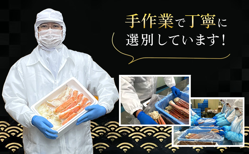 å·åãã€ã«ã¿ã©ãè¹ïŒãµã€ãã«ããïŒ TMN013 / ãµãããšçŽçš ããã°ãã« ããã°ã¬ã ã¿ã©ãã¬ã ã¿ã©ãè¹ å·åè¹ å·åãã« å·åã«ã è© ããã° ã¿ã©ã ã¹ã¯ãŒã㌠åèç å¯éåž