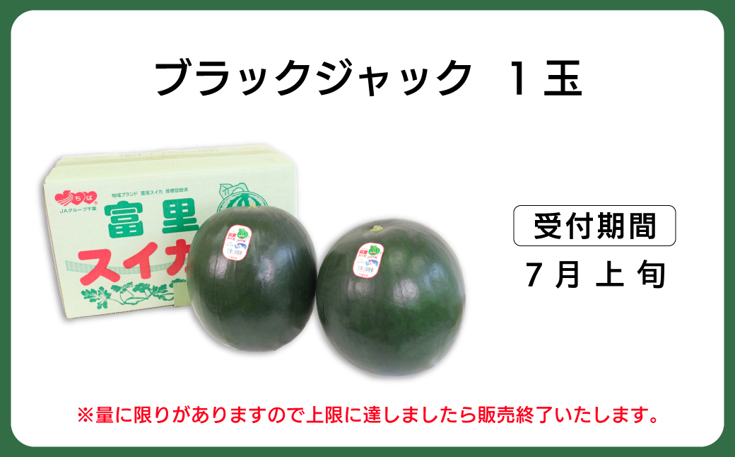富里市産 黒皮のシードレススイカ「ブラックジャック」 / すいか スイカ 西瓜 千葉県 富里市 果物 フルーツ 採れたて とれたて 産地直送 農家直送 千葉県産 ちば 千葉すいか 千葉スイカ 富里 富里すいか 富里スイカ 甘い あまい 美味しい おいしい 大玉 大玉すいか 大玉スイカ TMF013