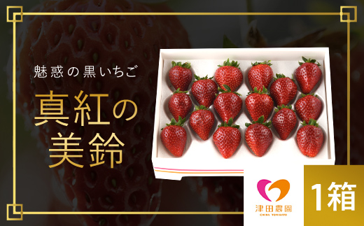 【2025年2月から順次発送】 魅惑の黒いちご「真紅の美鈴」1箱 ふるさと納税 いちごイチゴ 苺 真紅の美鈴 黒いちご 黒イチゴ しんくのみすず 甘い 完熟 魅惑 赤 深紅 ワイン色 朝収穫 新鮮 美味しい 贈答 ギフト お取り寄せ 千葉県 富里市 TME001