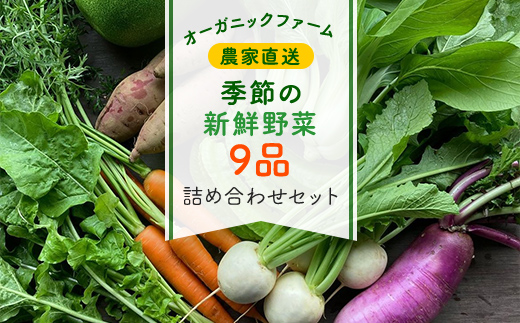 農家直送！【栽培期間中農薬不使用】季節の新鮮野菜「９品」詰め合わせセット オーガニックファーム AIBA FARM TML001 / 野菜セット 無農薬 野菜 千葉県 富里市 直送野菜 お野菜セット 旬野菜 季節野菜 農家直送 採れたて とれたて やさい 詰め合わせ セット ヤサイ  旬の野菜 季節の野菜 産地直送 詰め合わせ おまかせ 新鮮 オーガニック 農薬不使用