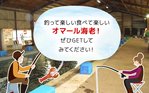 屋内型 海水魚の釣堀夜釣りコース利用券（土曜日・オマール海老狙いの夜釣り※要予約） / ふるさと納税 利用券 チケット 釣り フィッシング 釣り堀 釣堀 海水魚 屋内 夜釣り 土曜日 コリュッシュ Ko-Lish ちば 千葉県産とみさと 富里 富里市 TMW004