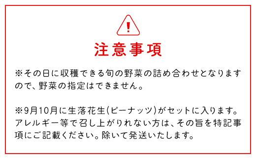 【10ヶ月 定期便】農家直送！【栽培期間中農薬不使用】季節の新鮮野菜「９品」詰め合わせセット オーガニックファーム AIBA FARM TML004 / 野菜セット 無農薬 野菜 千葉県 富里市 直送野菜 お野菜セット 旬野菜 季節野菜 農家直送 採れたて とれたて やさい 詰め合わせ セット ヤサイ  旬の野菜 季節の野菜 産地直送 詰め合わせ おまかせ 新鮮 オーガニック 農薬不使用