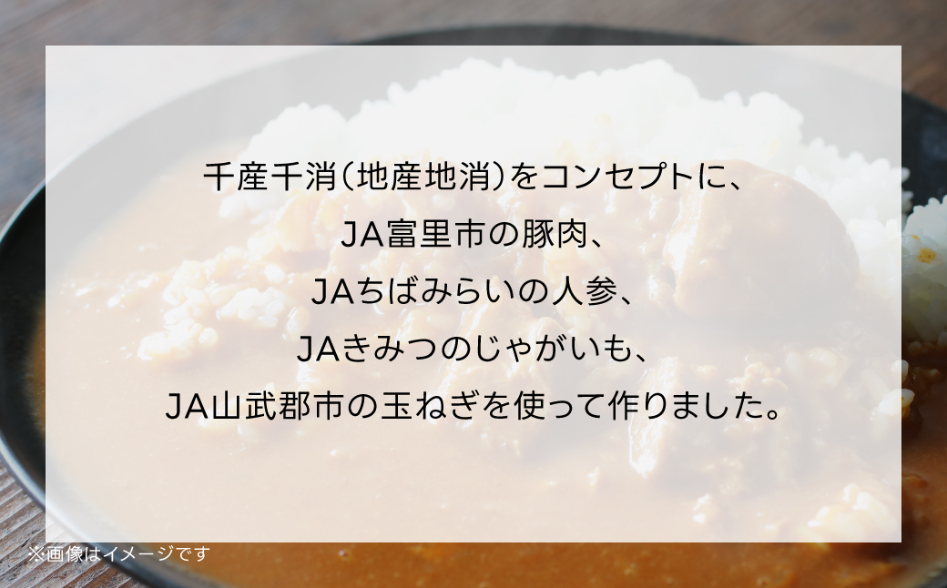 千葉産直情熱カレー10袋セット(中辛×４、辛口×３、甘口×３）レトルトポークカレー TMF007 / レトルトポークカレー カレー かれー curry ポークカレー レトルト レトルトポークカレー 10袋 セット 贅沢 ボリューム 地産地消 JA富里 農協 ちば 千葉県産とみさと 富里 富里市