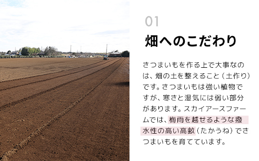 【2024年11月以降発送】千葉県富里市産　べにはるか　3kg　サイズ混載　土付き TMH003 / さつまいも サツマイモ  紅はるか べにはるか おさつ 甘藷 唐いも あまい 甘い スイーツ スイート ポテト おやつ 焼き芋 千葉県 富里市 