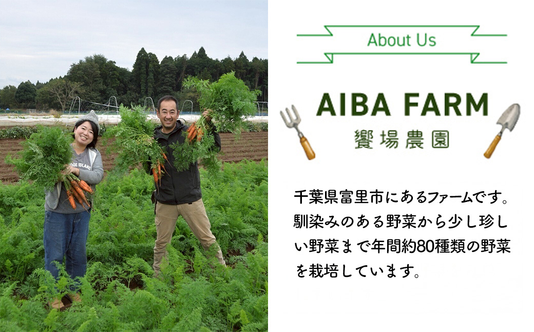 【栽培期間中農薬不使用】農家直送！「９品」季節の新鮮野菜 詰め合わせセット AIBA FARM TML001 / 野菜セット 無農薬 野菜 千葉県 富里市 直送野菜 お野菜セット 旬野菜 季節野菜 農家直送 採れたて とれたて やさい 詰め合わせ セット ヤサイ 旬の野菜 季節の野菜 産地直送 詰め合わせ おまかせ 新鮮 農薬不使