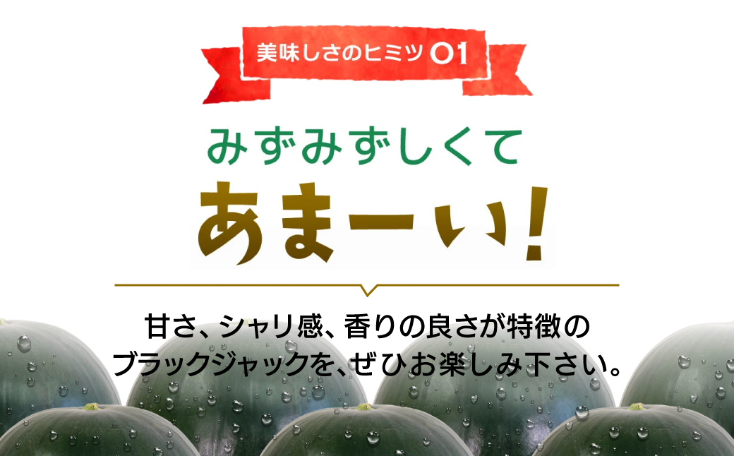 富里市産 黒皮のシードレススイカ「ブラックジャック」 / すいか スイカ 西瓜 千葉県 富里市 果物 フルーツ 採れたて とれたて 産地直送 農家直送 千葉県産 ちば 千葉すいか 千葉スイカ 富里 富里すいか 富里スイカ 甘い あまい 美味しい おいしい 大玉 大玉すいか 大玉スイカ TMF013