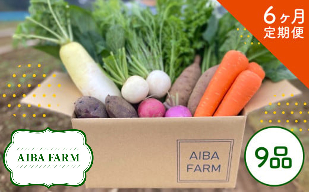 【6ヶ月 定期便】【栽培期間中農薬不使用】農家直送！季節の新鮮野菜「９品」詰め合わせセット AIBA FARM TML003 / 野菜セット 無農薬 野菜 千葉県 富里市 直送野菜 お野菜セット 旬野菜 季節野菜 農家直送 採れたて とれたて やさい 詰め合わせ セット ヤサイ 旬の野菜 季節の野菜 産地直送 詰め合わせ おまかせ 新鮮 農薬不使用