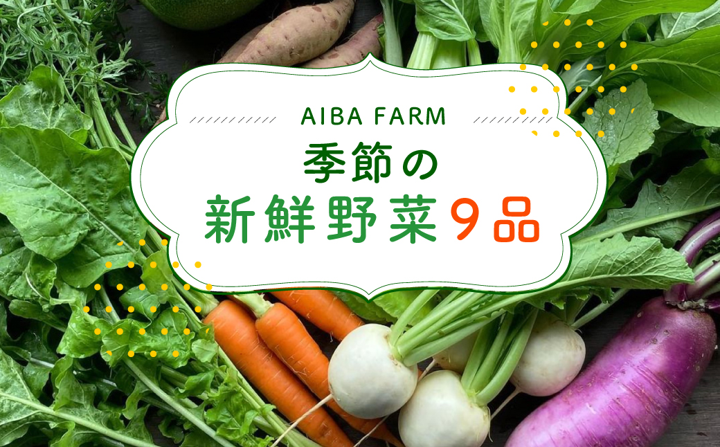 【栽培期間中農薬不使用】農家直送！「９品」季節の新鮮野菜 詰め合わせセット AIBA FARM TML001 / 野菜セット 無農薬 野菜 千葉県 富里市 直送野菜 お野菜セット 旬野菜 季節野菜 農家直送 採れたて とれたて やさい 詰め合わせ セット ヤサイ 旬の野菜 季節の野菜 産地直送 詰め合わせ おまかせ 新鮮 農薬不使