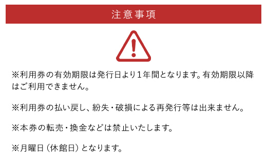 東京湯楽城入浴券　2枚 TMI008 / 湯楽城 ホテル ギフト カード チケット 温泉 温泉チケット ギフトカード リゾートギフト 千葉県 富里市