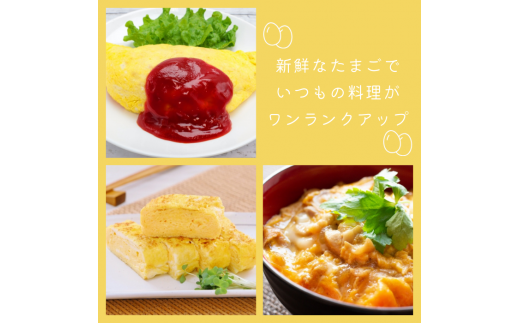 縲仙ョ壽悄萓ソ9蝗槭台ケ晏香荵晞後ヵ繧。繝シ繝縺薙□繧上j縺溘∪縺碑エ育ュ皮畑30蛟九懊≠縺翫>豬キ繝サ縺ソ縺ゥ繧翫ョ驥後懊顔區邇峨 シ 縺溘∪縺 蜊オ 邇牙ュ 繧ソ繝槭ざ 逕溷嵯 蜊オ縺九¢縺秘」ッ 鮓丞嵯 30蛟 螳壽悄萓ソ 9蝗