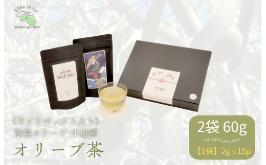 《ギフトボックス入り》匝瑳オリーブ 千朋園　オリーブ茶　2袋 60g（1袋2g×15パック×2袋） ／ お茶 オリーブ茶 オリーブ オレウロペイン ポリフェノール ティーバッグ ギフト 贈答 贈り物