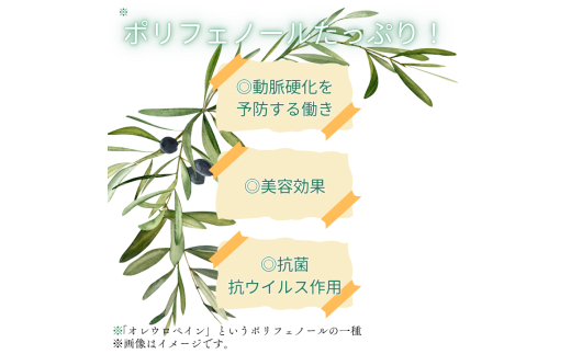 《ギフトボックス入り》匝瑳オリーブ 千朋園　オリーブ茶　2袋 60g（1袋2g×15パック×2袋） ／ お茶 オリーブ茶 オリーブ オレウロペイン ポリフェノール ティーバッグ ギフト 贈答 贈り物
