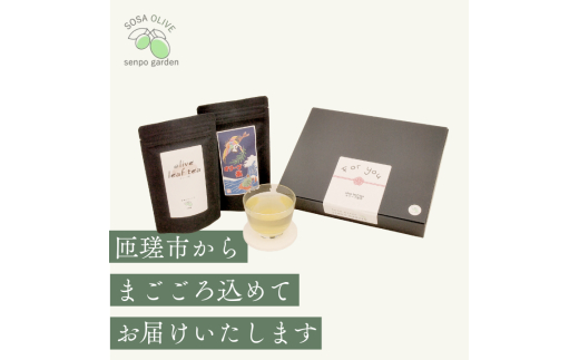 《ギフトボックス入り》匝瑳オリーブ 千朋園　オリーブ茶　2袋 60g（1袋2g×15パック×2袋） ／ お茶 オリーブ茶 オリーブ オレウロペイン ポリフェノール ティーバッグ ギフト 贈答 贈り物