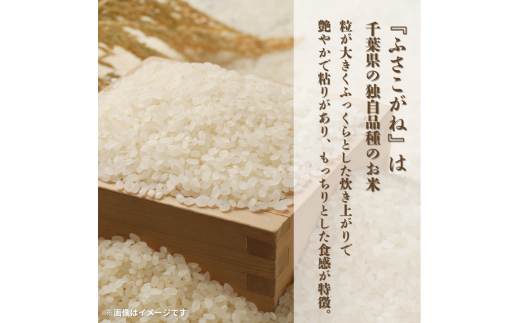 令和7年産 ふさこがね 精米 10kg （ 5kg × 2 ）千葉県 匝瑳市 ／ 米 こめ コメ お米 ごはん ご飯 精米 白米 10kg 5kg ふさこがね 令和7年産 JA 農協 ちばみどり ちばみどり農業協同組合 千葉県 匝瑳市 送料無料