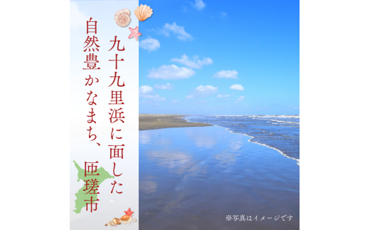 匝瑳市産水稲もち米使用　杵つき餅　約1.9kg ／ 杵つき餅 餅 切り餅 産地直送 送料無料 匝瑳市 千葉