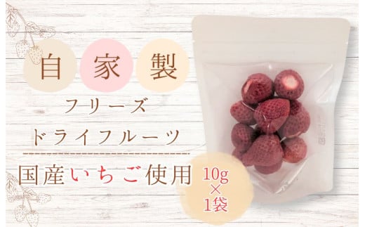 メルカドレグメス　フリーズドライフルーツ　いちご ／ フリーズドライフルーツ フリーズドライ フルーツ 果物 くだもの いちご イチゴ 苺 自家製 3000円