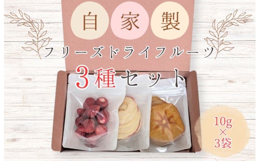 ã¡ã«ã«ãã¬ã°ã¡ã¹ãããªãŒãºãã©ã€ãã«ãŒãã3çš®ã»ãã ïŒ ããªãŒãºãã©ã€ãã«ãŒã ããªãŒãºãã©ã€ ãã«ãŒã æç© ãã ãã® ãã¡ã ã€ããŽ èº æ¿ ãã ã«ã ããã ãªã³ãŽ ææª ããã èªå®¶è£œ ã»ãã è©°ãåãã